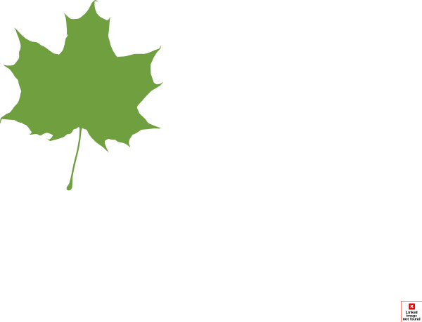 Green Maple Leaf Clip Art At Clker - Leaves Silhouette (600x459)