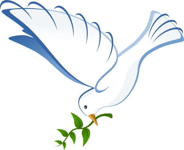 Dove Clip Art Png - White Dove (600x490)