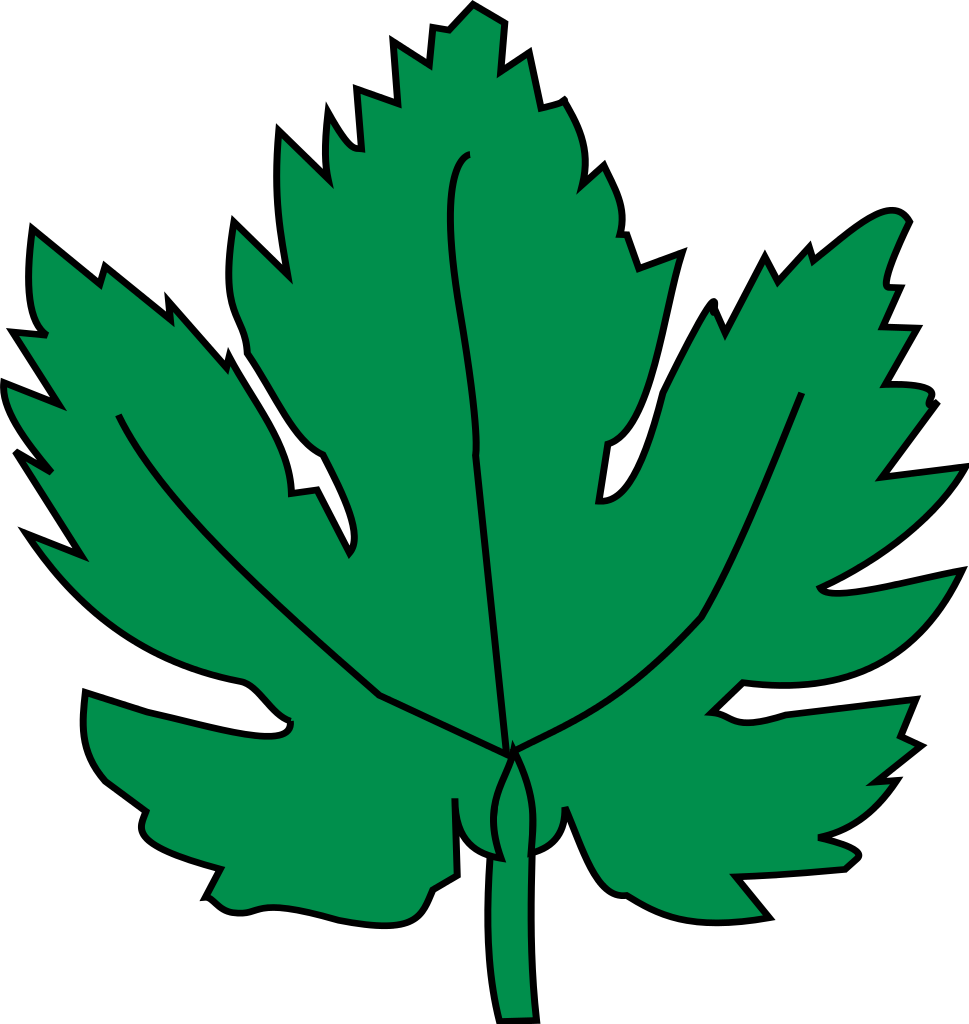 Leaf Clip Art Free Pictures - Imagen De Hoja De Parra (969x1024)