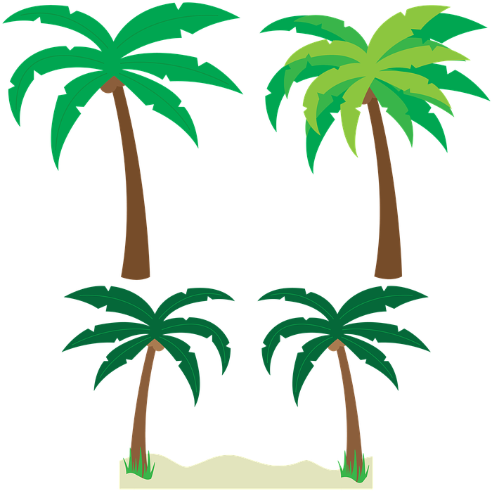 Palm Trees Trees Palm Tree Vector Tropical Beach - Palm Trees Trees Palm Tree Vector Tropical Beach (720x720)