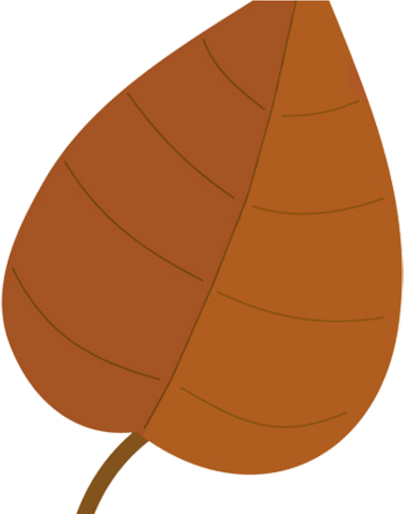Fall Leaves Images Clip Art Fall Leaves Clip Art Beautiful - Illustration (1024x1024)