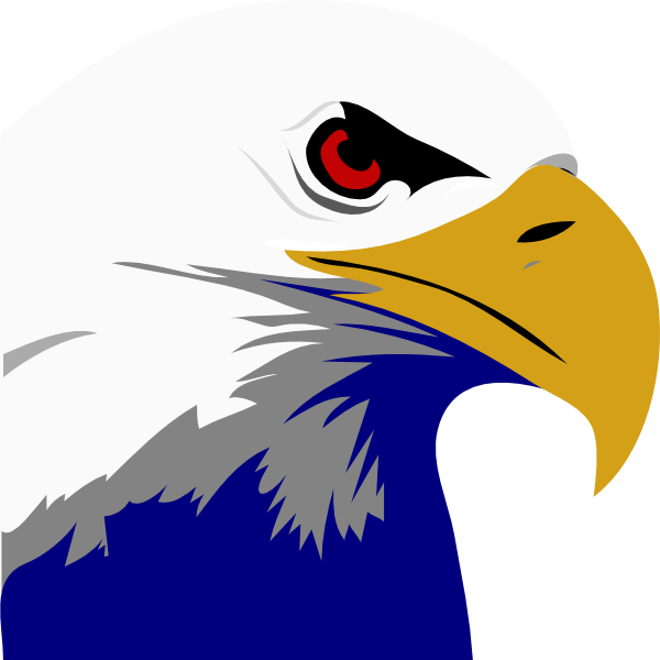 Bald Eagle Clip Art At Clker - Royalty Free Images Eagle (600x600)