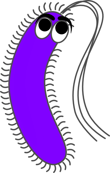 Bacteria Funny Clip Art - Gram Negative Bacilli Cartoon (378x595)
