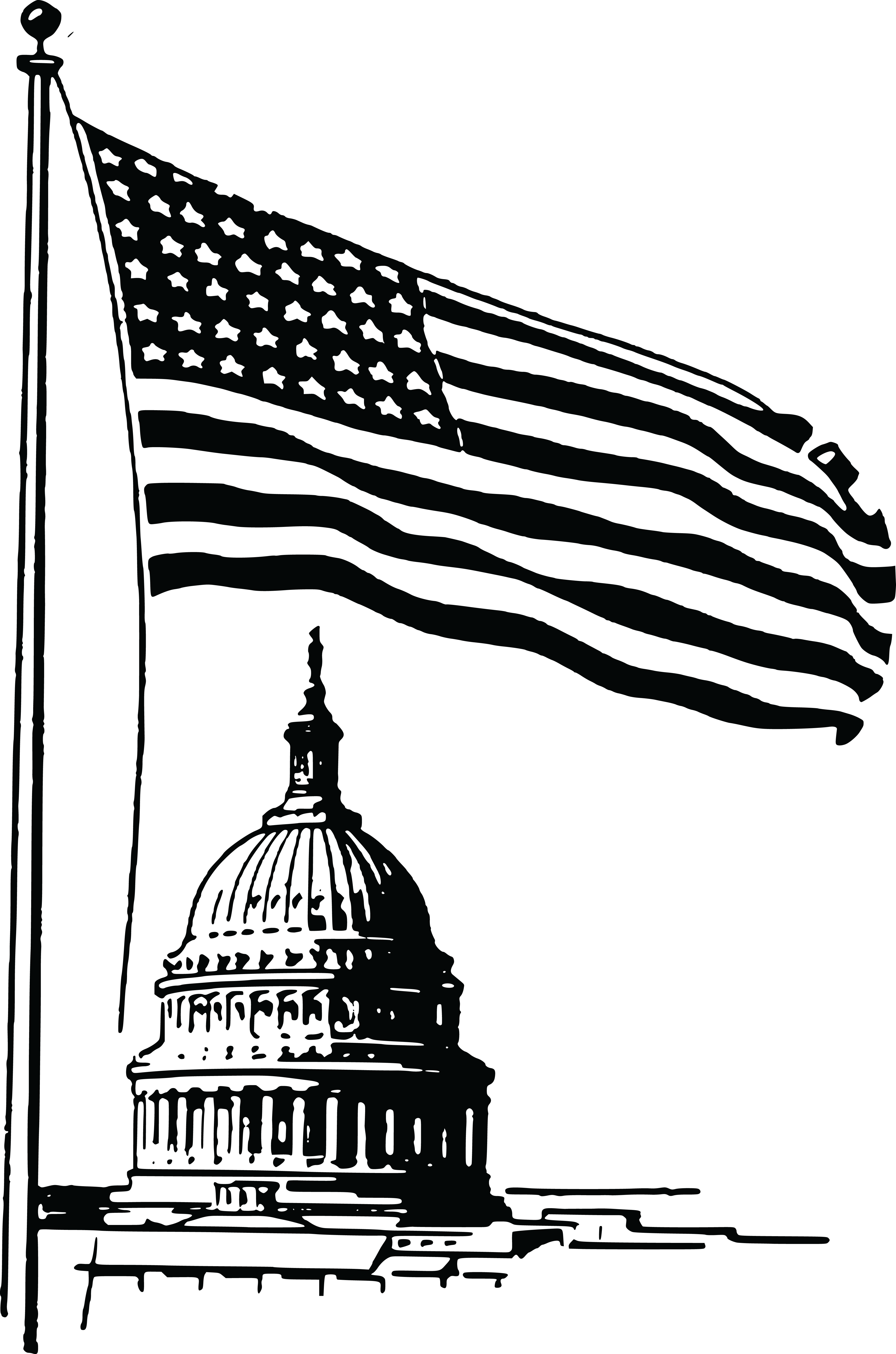 Америка рисунок. Белый дом США Капитолий. Здание конгресса США. Капитолий США флаг. Черный флаг Капитолий США