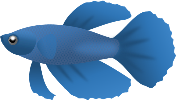 Fish Clip Art Free Fish Sketch Clip Art Vector Clip - Portable Network Graphics (582x336)