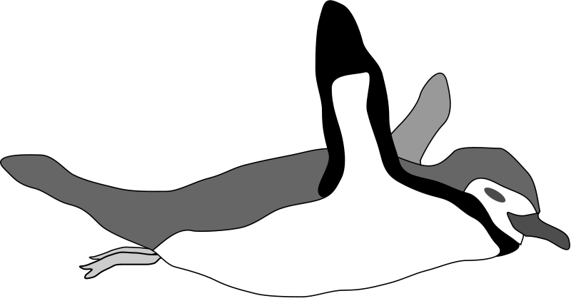 Draw A Emperor Penguin Swimming (800x422)