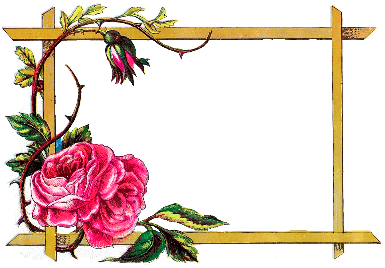 Digital Clipart Craft Rose Border Download - Border Design With Flowers (1350x940)