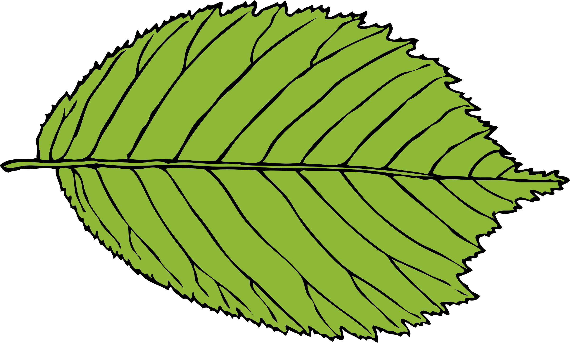 Leaf Clip Art (2400x1444)