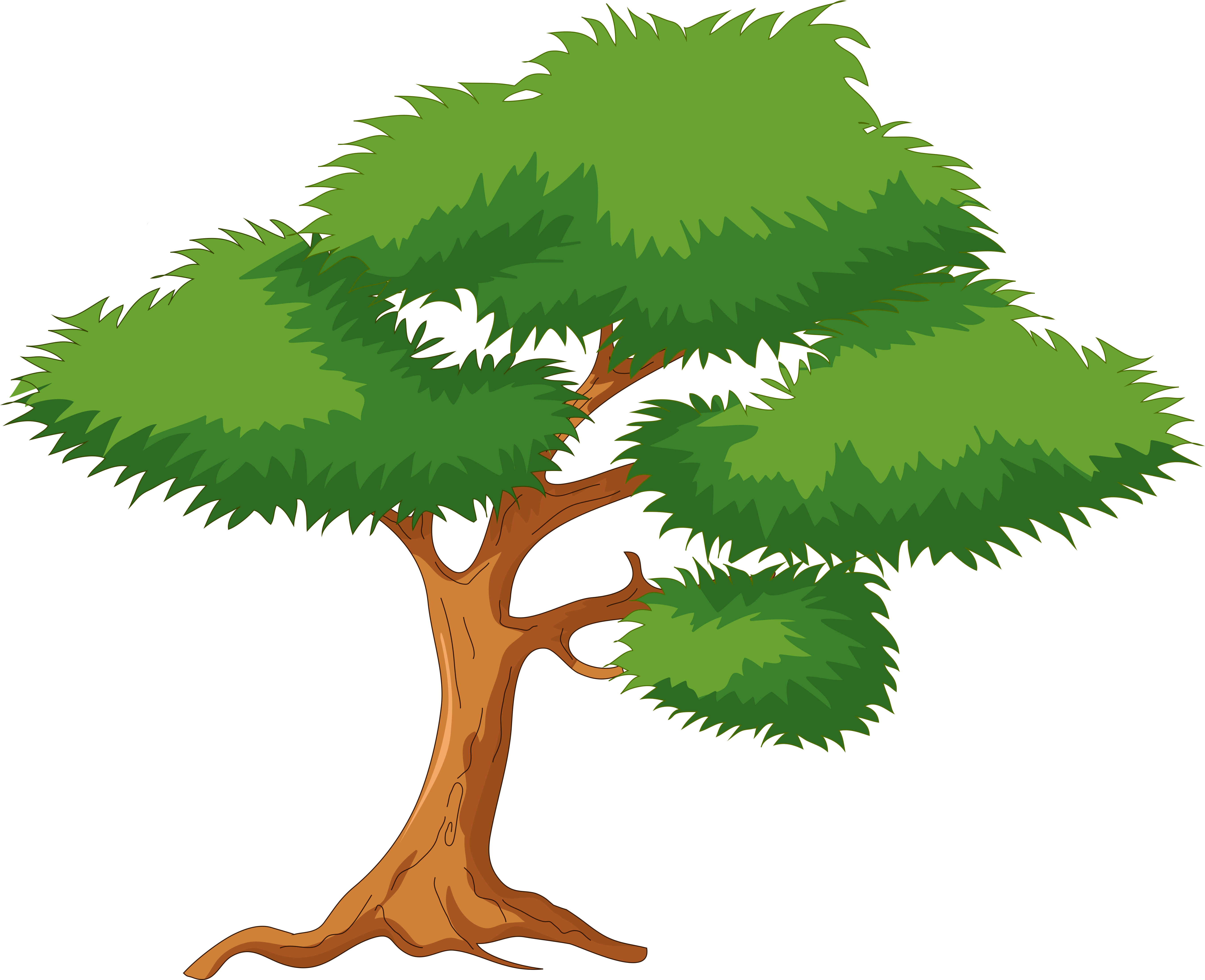 Green Cartoon Tree Png Clip Art - Cartoon Tree Png (5637x4574)