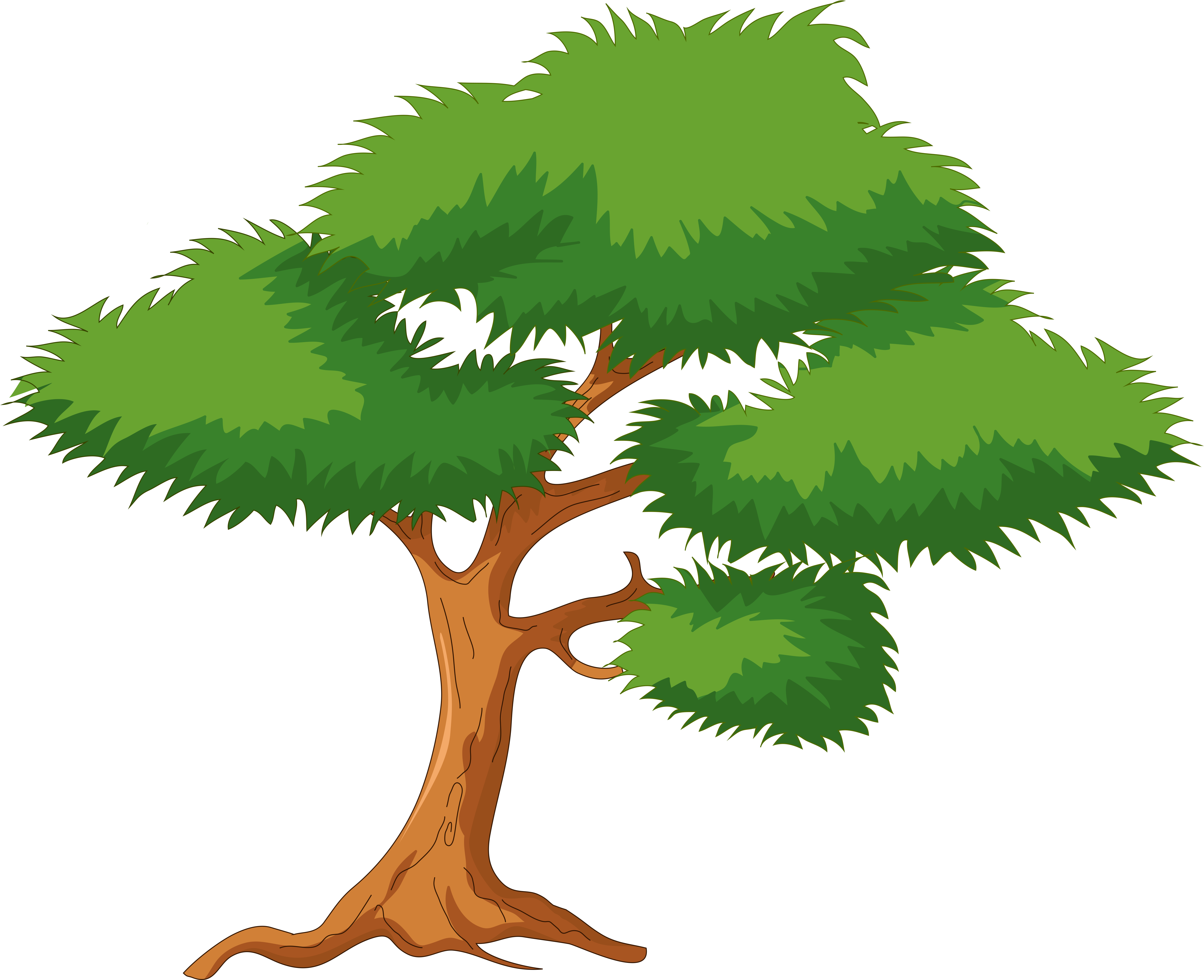 Cartoon tree. Мультяшные деревья. Дерево рисунок. Дерево на прозрачном фоне. Дерево мультяшное.