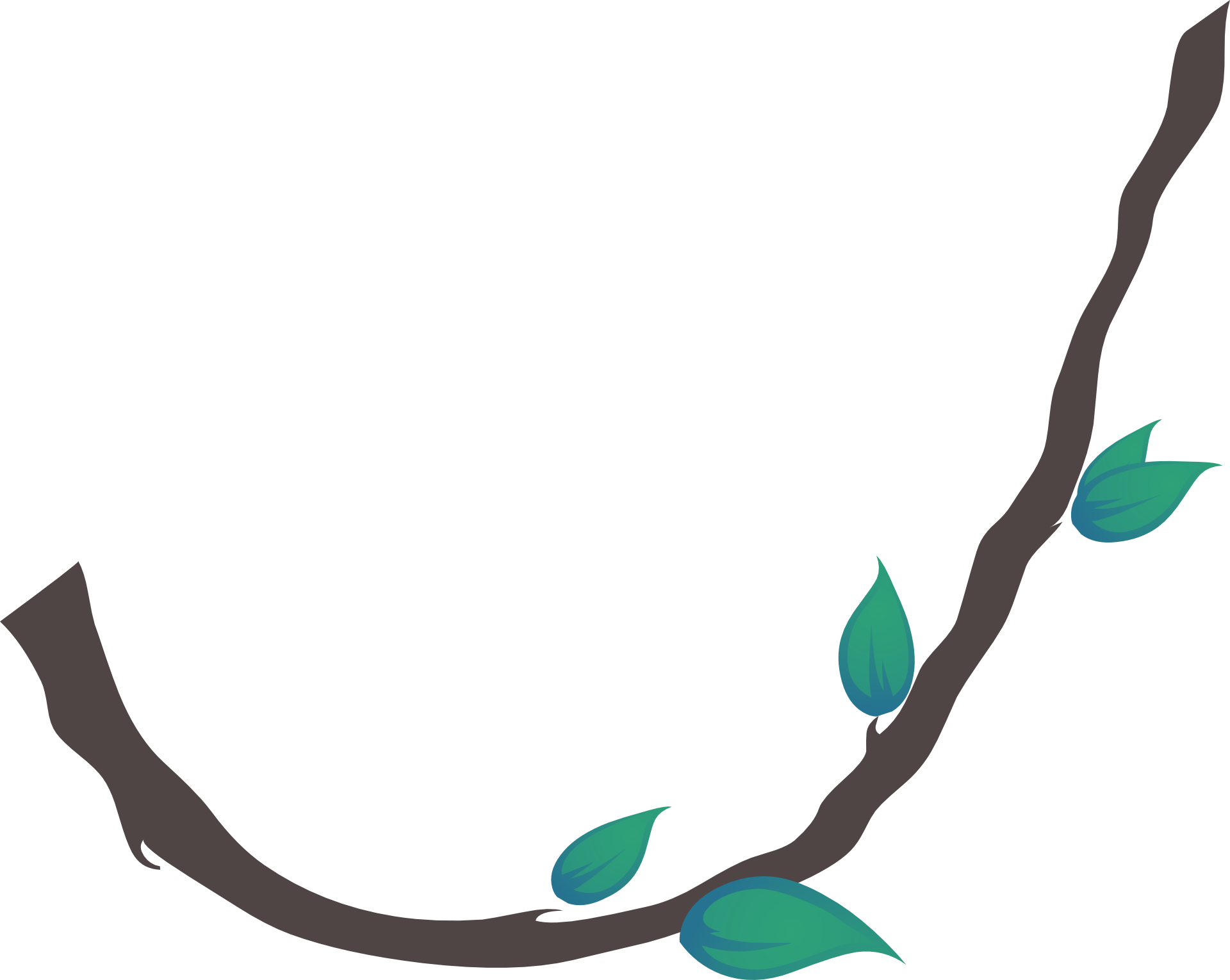 Liana Vine Clip Art - Liana Vine Clip Art (1920x1530)