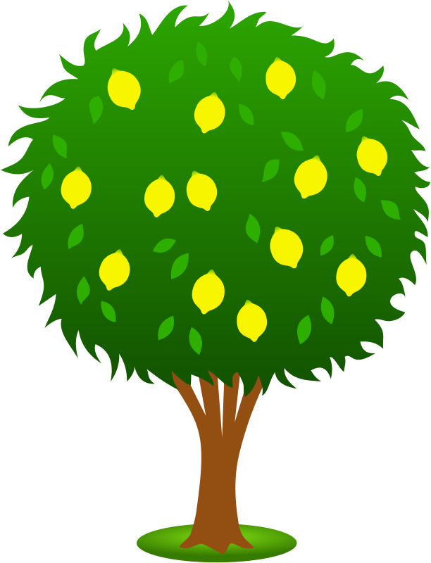 Trees Clipart Free - Lemon Tree Clipart (612x800)