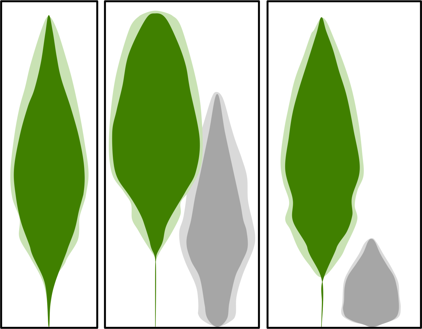Initial Outlines Of Paper Birch Saplings Showed They - Tree (1365x1064)