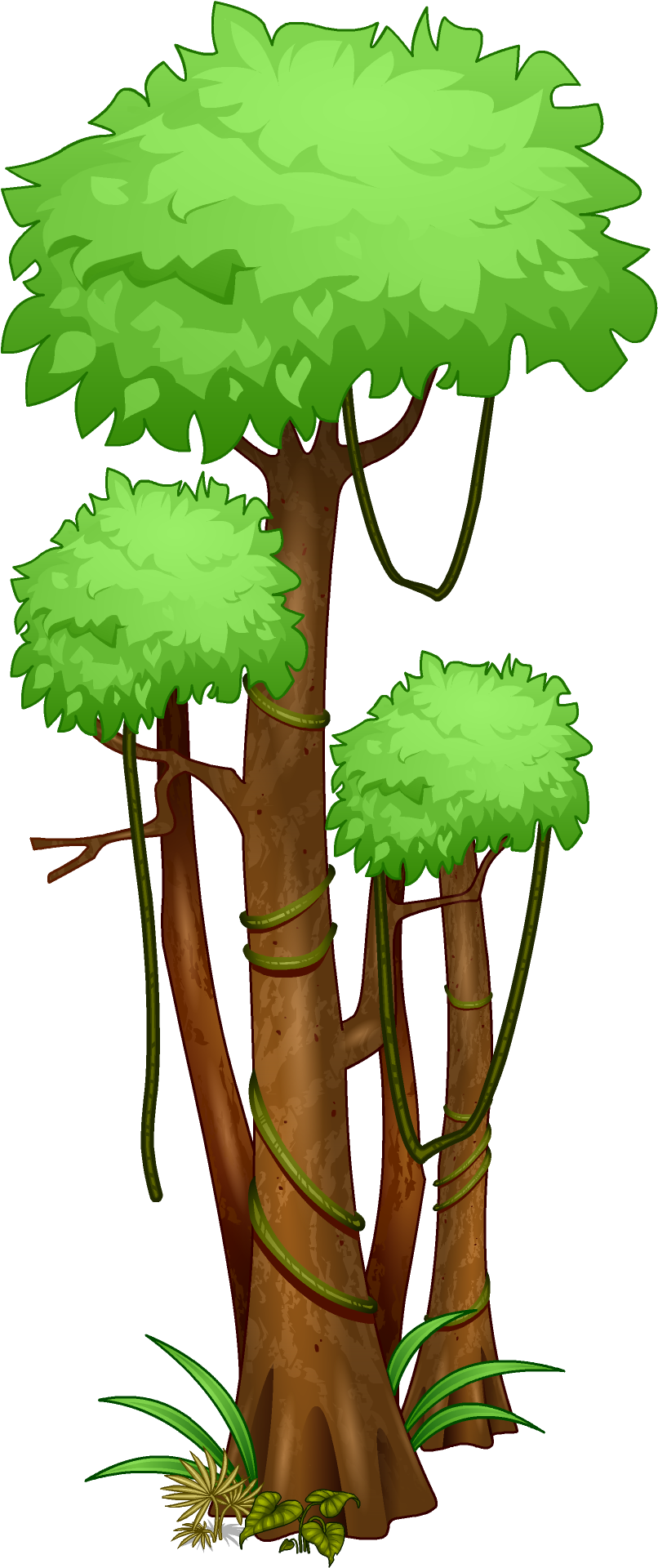 Index Of /cdn/6/1990/289 - Rainforest Png (1080x1920)