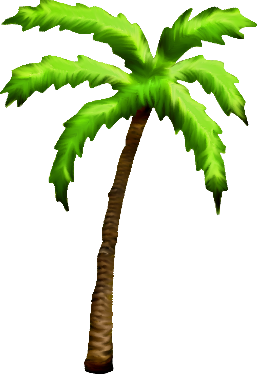 Palm Tree Clipart Tropical Coconut - Palm Tree Clipart Tropical Coconut (516x750)