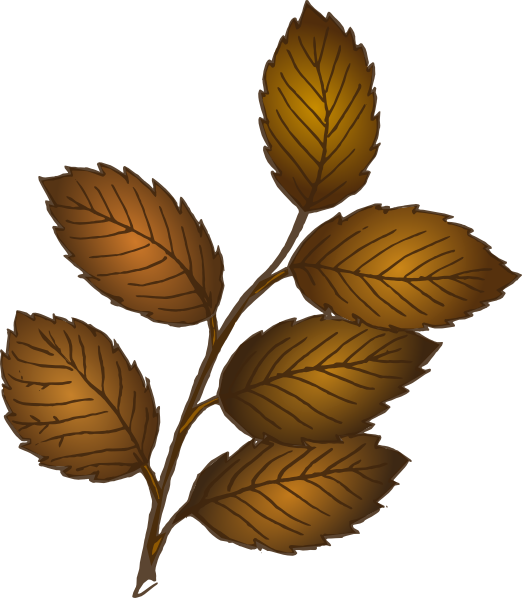 Brown Leaves On Branch (522x598)