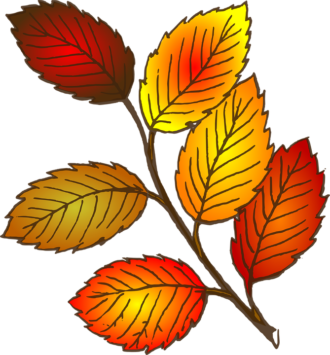 Leaves Clip Art (669x720)