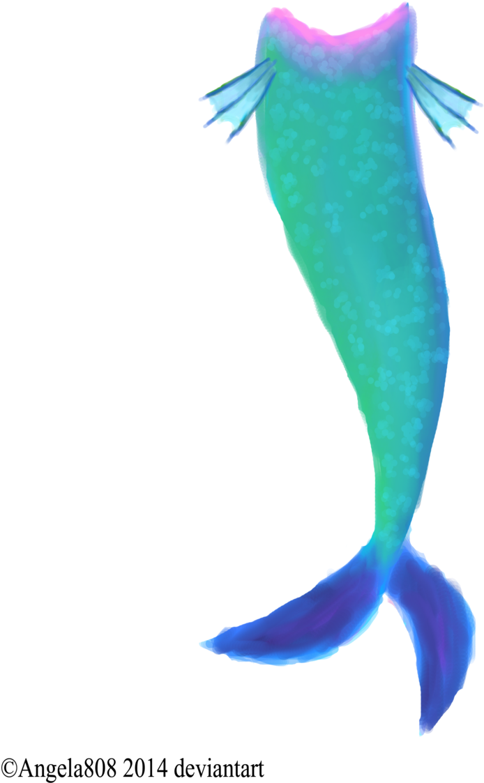 Mermaid Tail Png Transparent Images - Mermaid Tail Transparent (1024x1365)