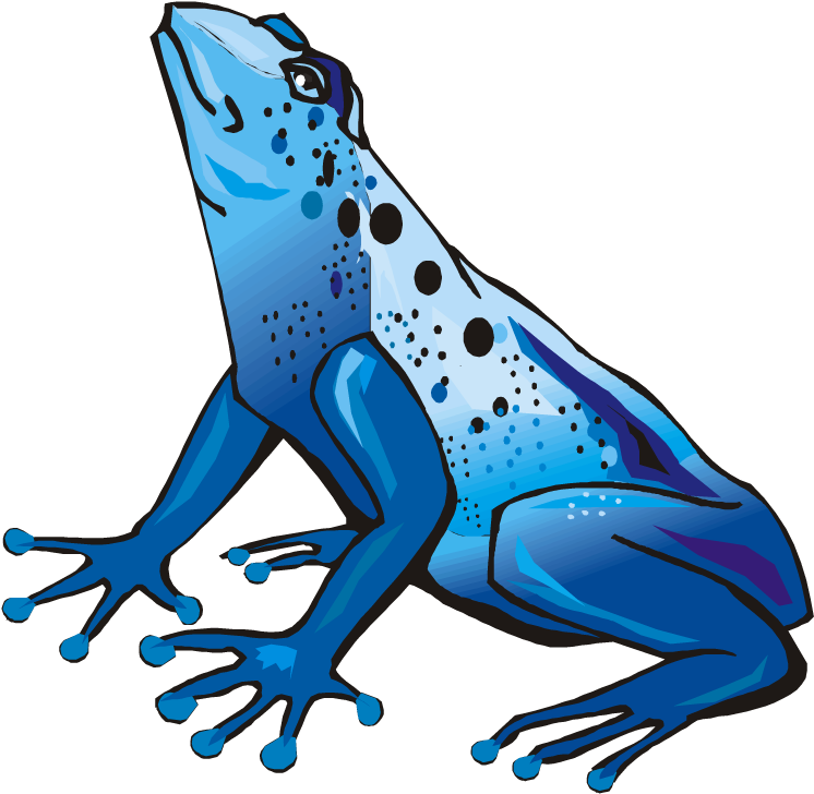 Blue Tree Frog Clip Art - Poison Dart Frog Clipart (750x734)