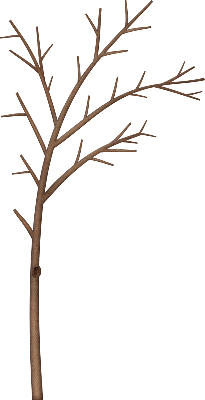 Tree Clipartflower - Tree Clipartflower (656x1280)