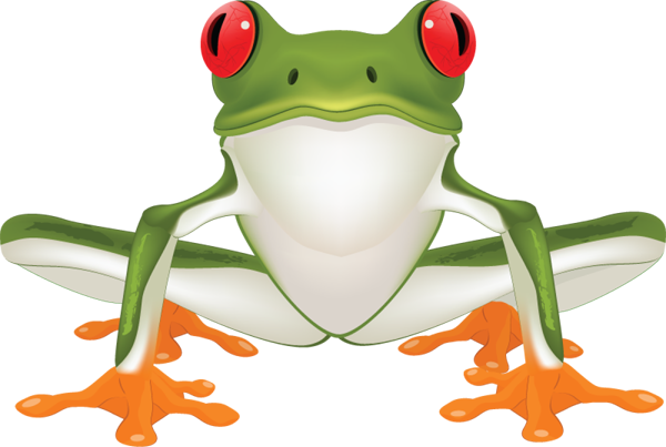 Jungle Frog Cliparts Free Download Clip Art Free Clip - Clip Art Tree Frog (600x403)