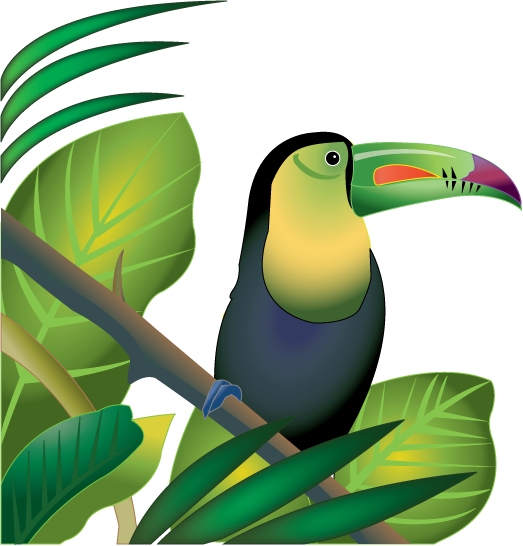 Jungle Clip Art - Amazon Clipart (523x546)