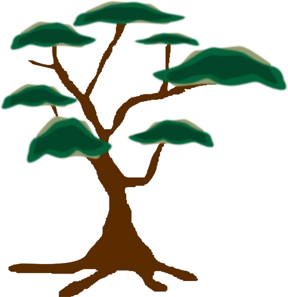 Plant Clipart Safari - Safari Trees Clip Art (576x595)