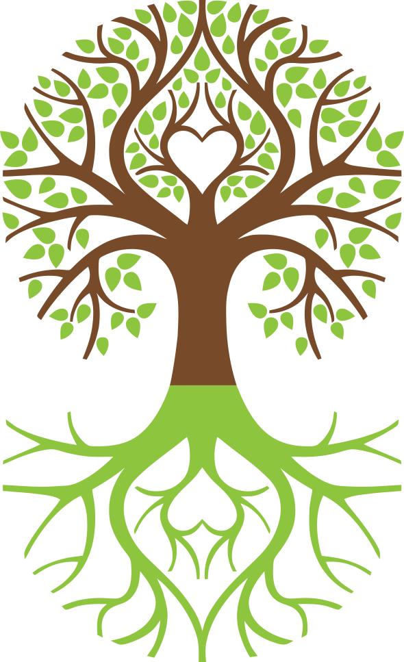 Tree Of Life Symbol Weeping Willow Arborvitae - Tree Of Life Symbol Weeping Willow Arborvitae (590x967)