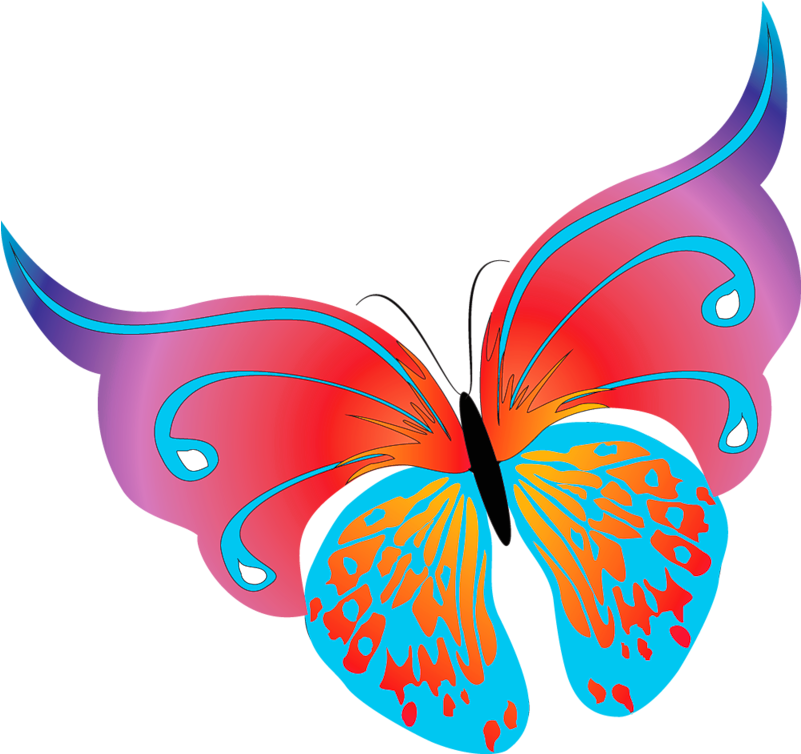 Painted Transparent Butterfly Png Clipart - Butterfly Images Png Clipart (820x770)