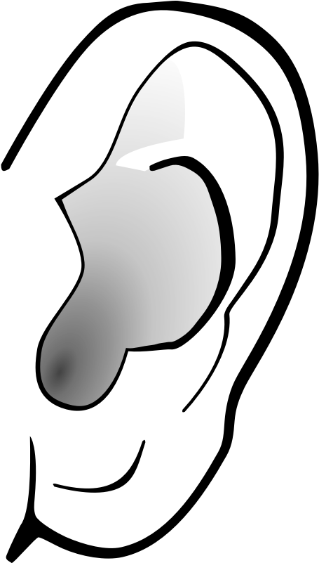 Ears Clip Art - Ear Clip Art Png (800x800)