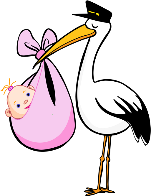 Stork & Baby Clipart - Stork Clipart Boy (538x675)