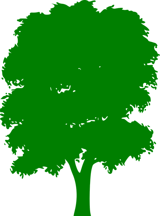 Tree Green Plain Nature Wood Outside Silhouette - Tree Green Plain Nature Wood Outside Silhouette (533x720)