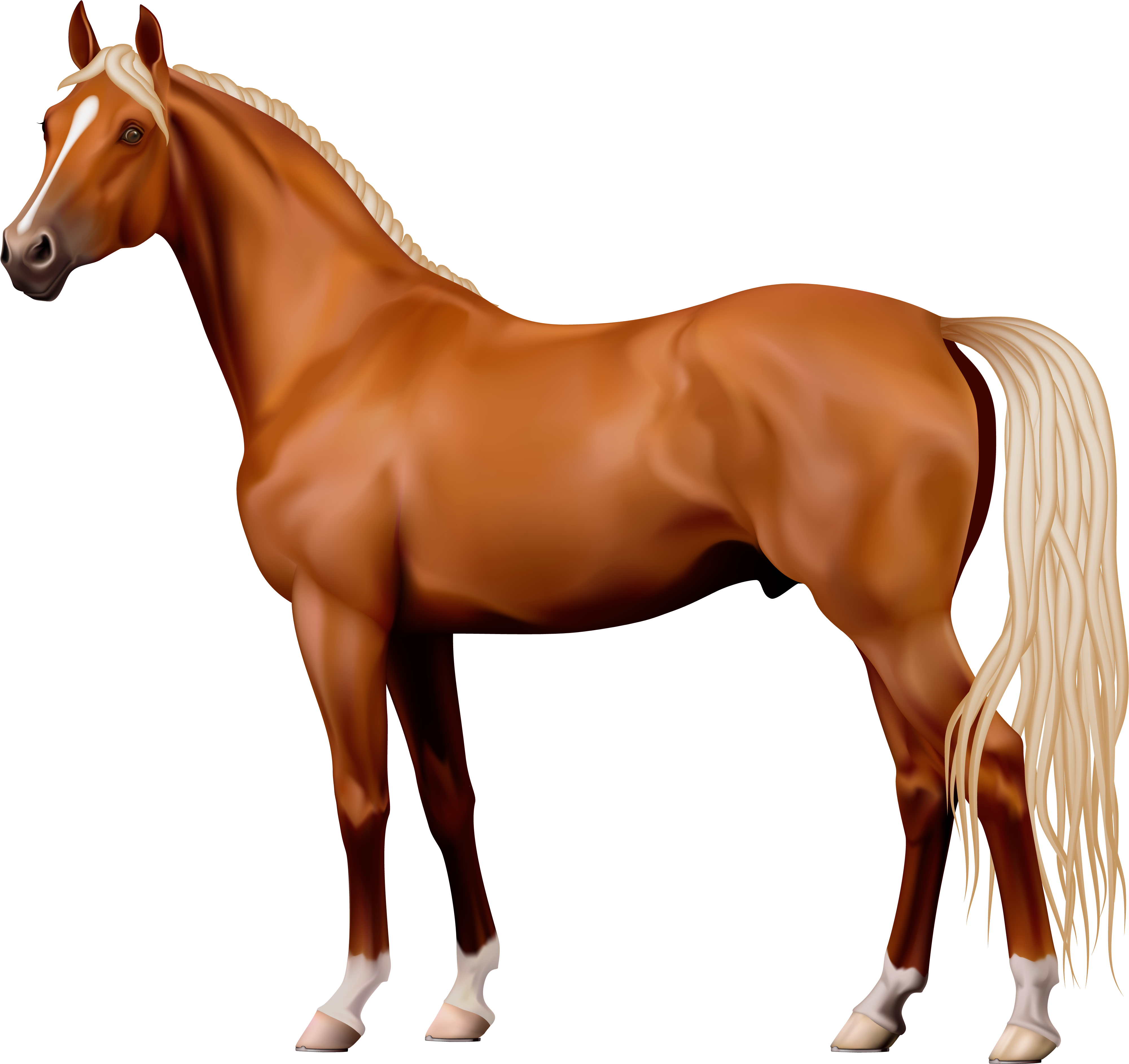 Brown Horse Png Clipart - Horse Png (4120x3894)
