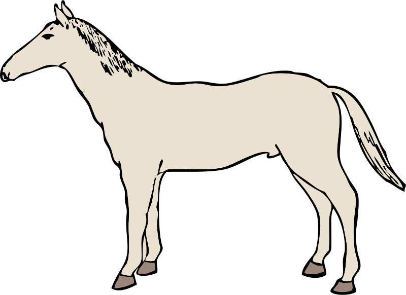 Clipart Info - White Horse Clipart Transparent (1032x750)