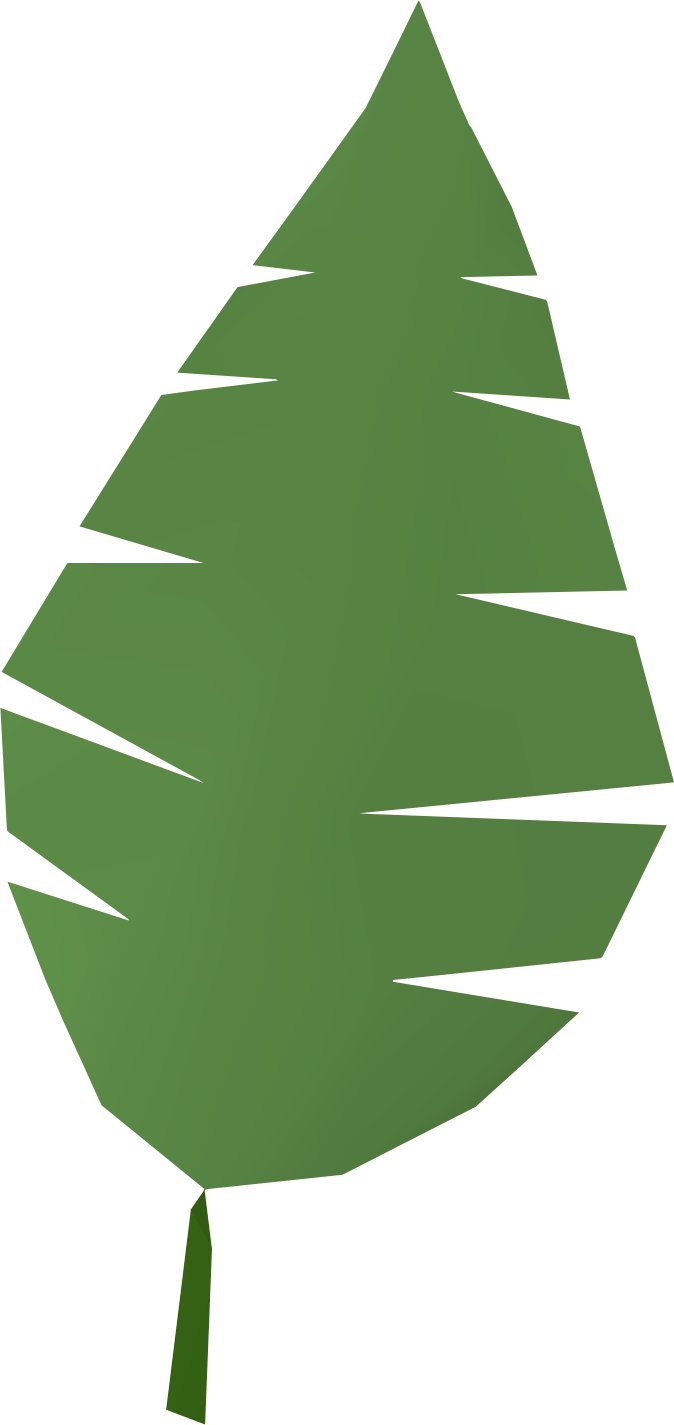 Palm Leaf Png Clip Art - Palm Leaf Png Clip Art (674x1425)