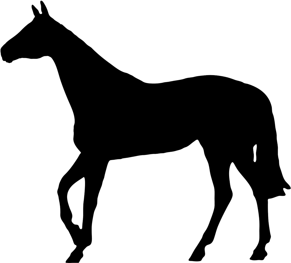 Horse Black Silhouette - Horse Silhouette No Background (1063x936)