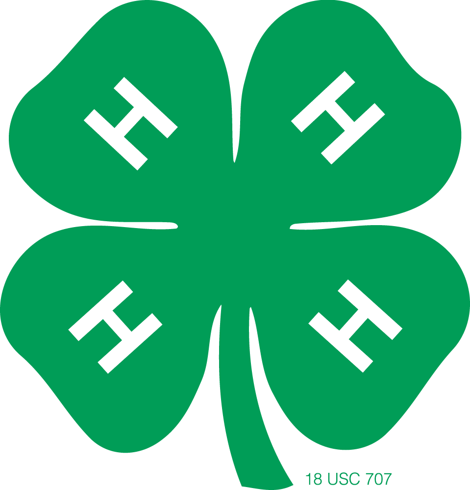 Horse 4 H Clover Clipart - 4 H Logo (959x999)