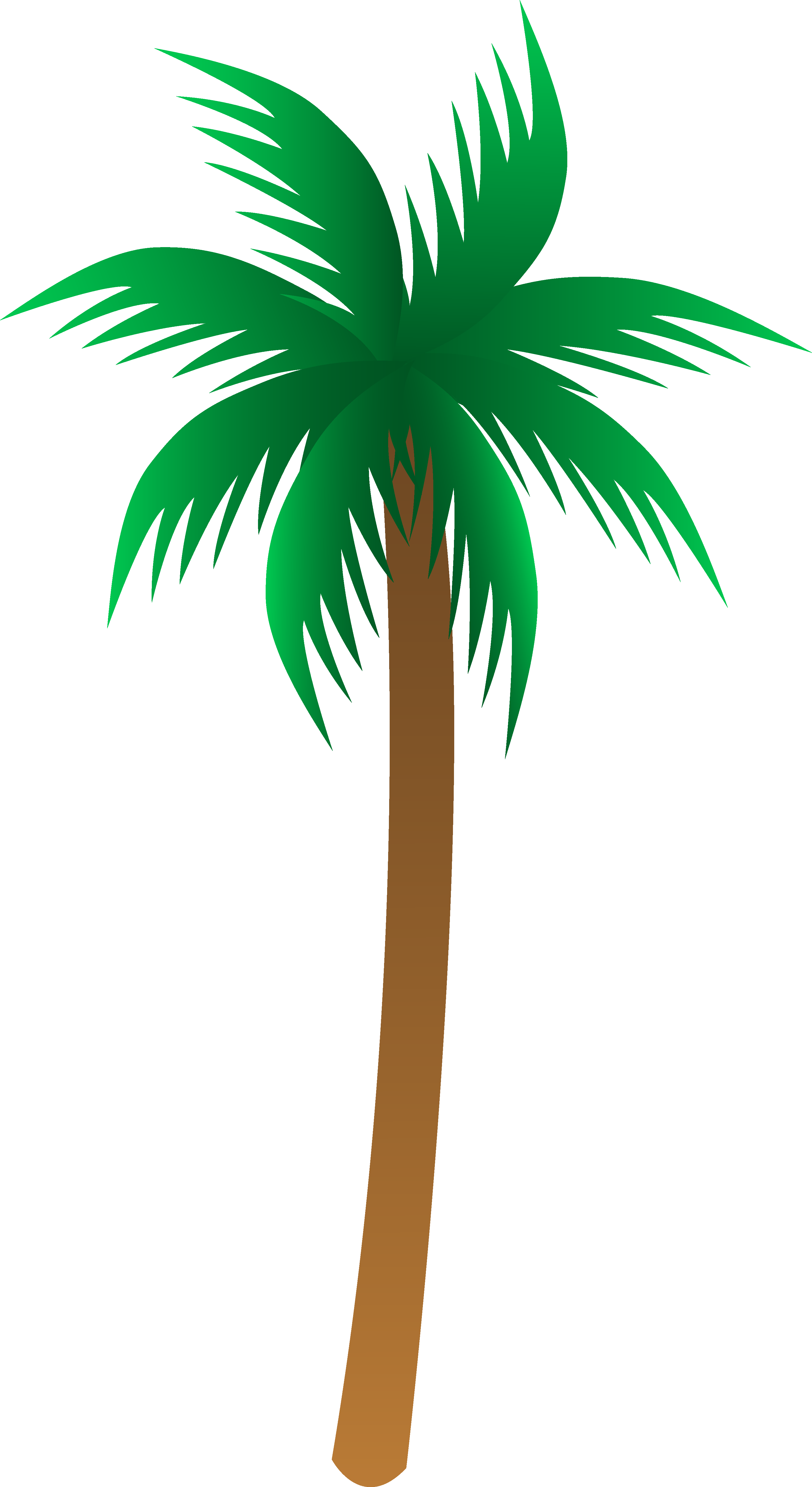 Palm Tree Clipart - Palm Tree Clipart (3182x5819)