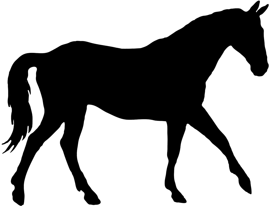 Horse Silhouette Clip Art Many Interesting Cliparts - Silhouette Of A Horse (1063x844)