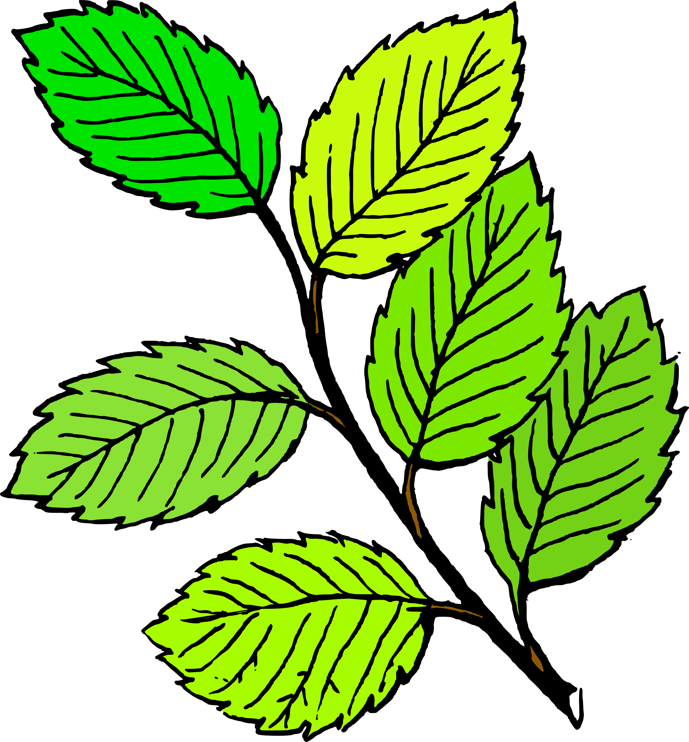 Spring Leaf Clipart Clipart Image - Leaf Black And White (2231x2400)