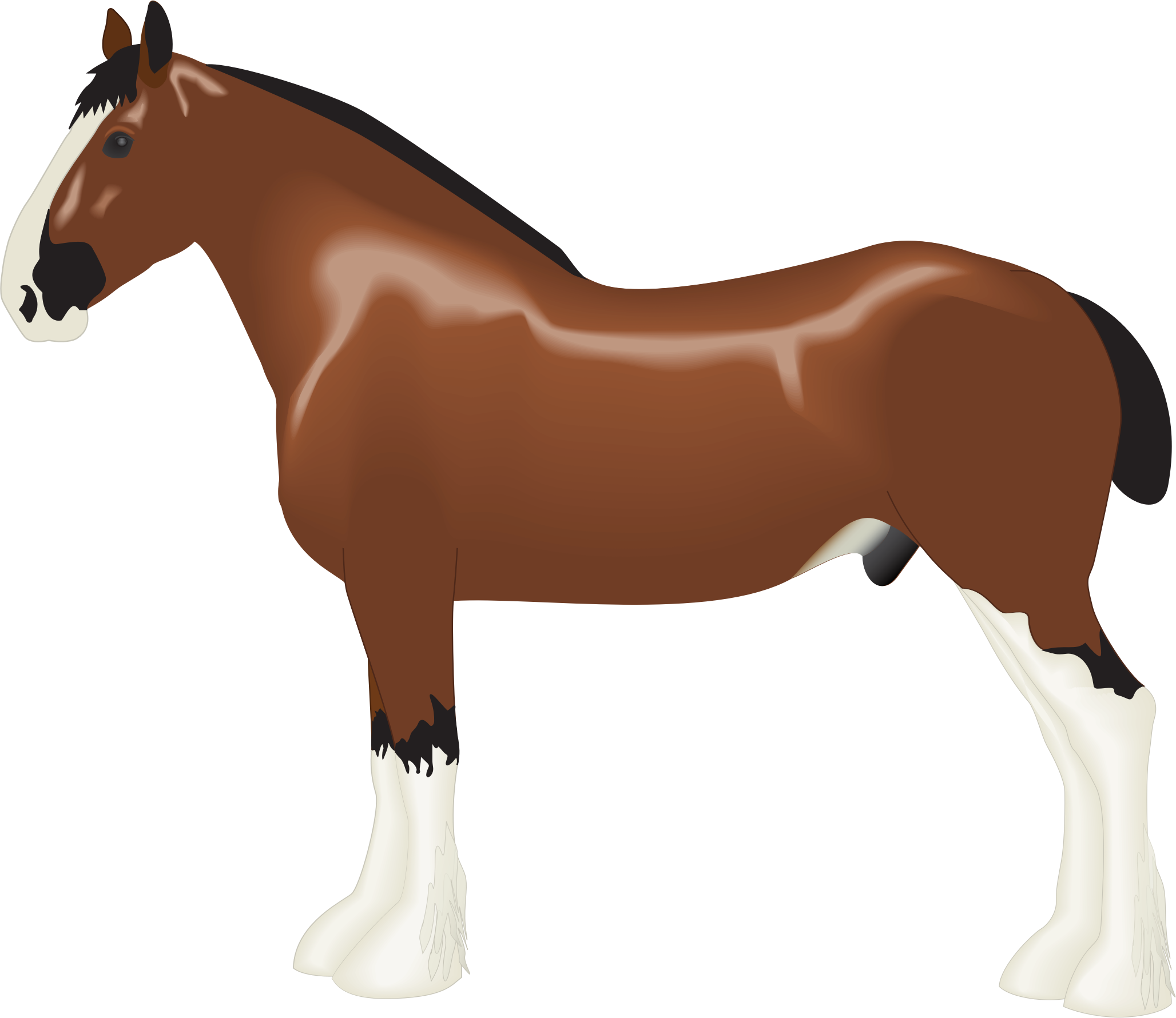 Clydesdale Horse Clipart (2056x1781)