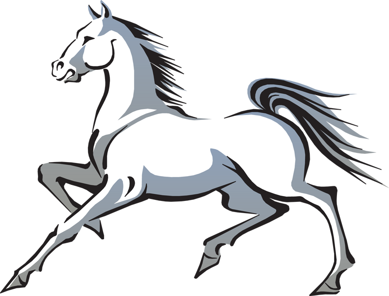 Horse Clip Art - Mustang Horse Clip Art (800x610)