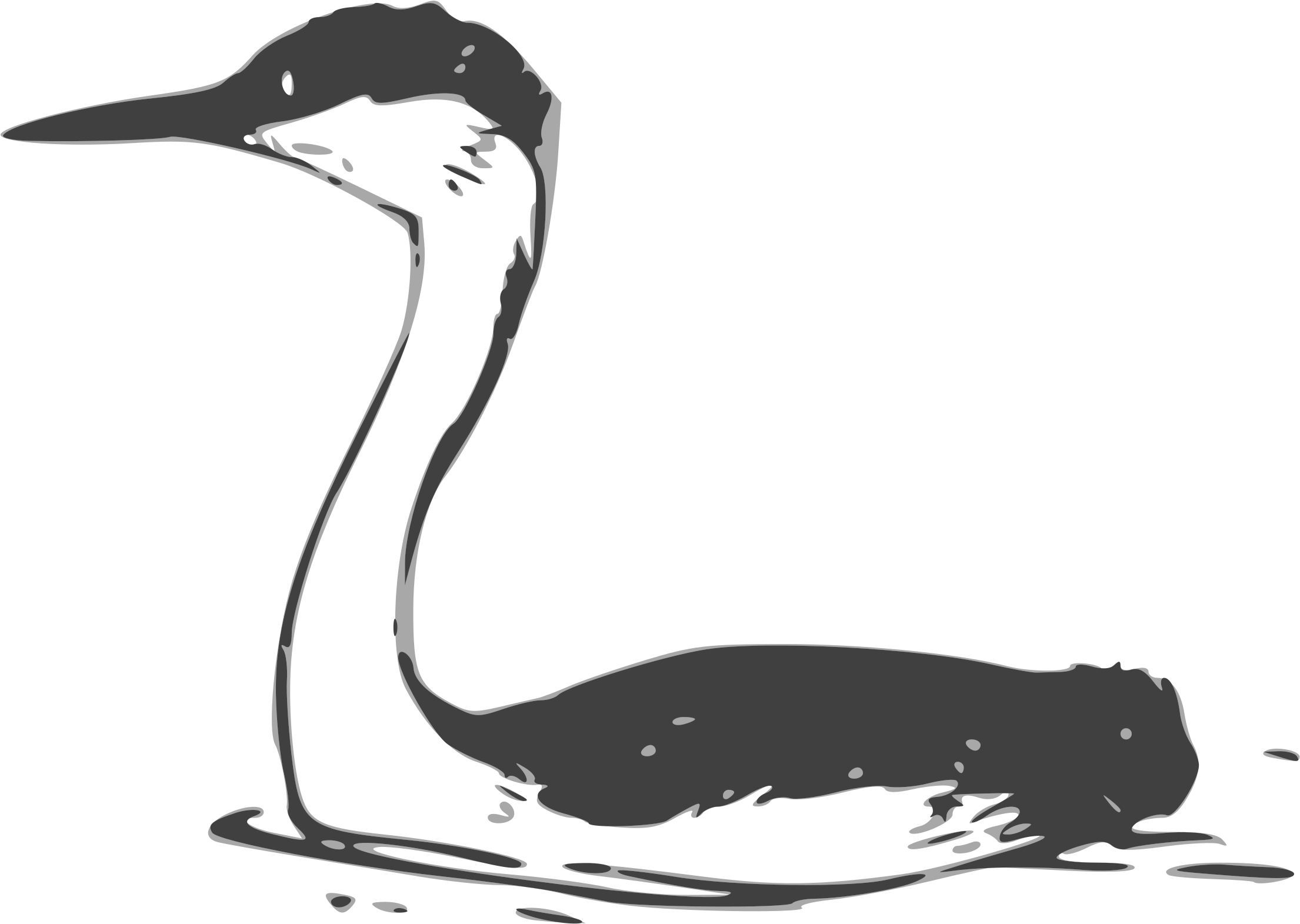 Big Image - Custom Goose Shower Curtain (2400x2632)