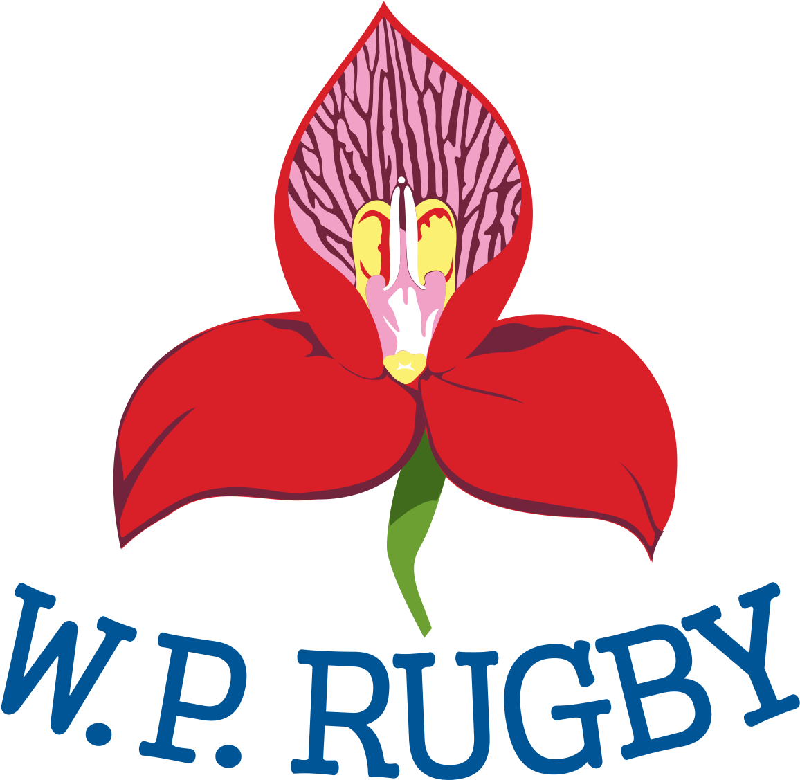 Western Province Rugby Logo (1200x1171)