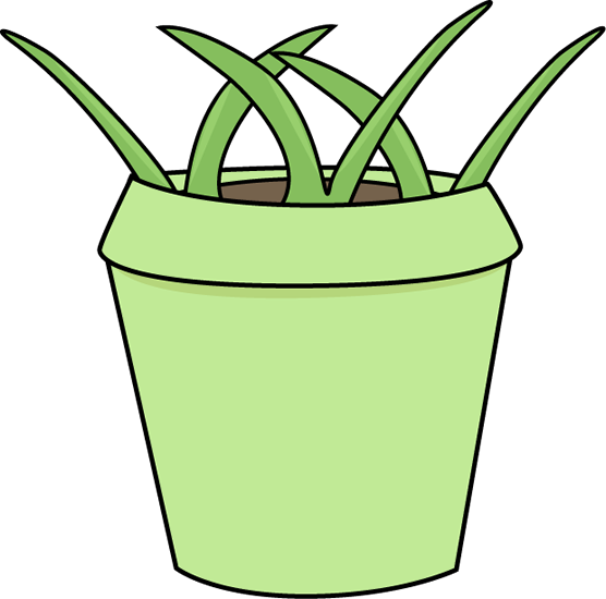 Flower Pot With Weeds - 3 Step Sequencing Pictures Printable (556x550)