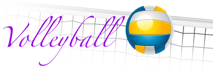 Ssv-volleyball - Caldo De Pollo Para La Familia: Relatos Que Inspiran (700x250)