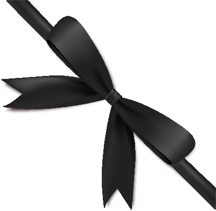 Black Bow Ribbon Icon3 Vector Data - Black Bow With Ribbon (435x425)