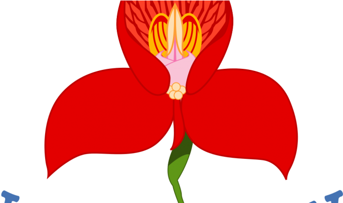 Logo Western Province Rugby - Western Province Golf Union (704x400)
