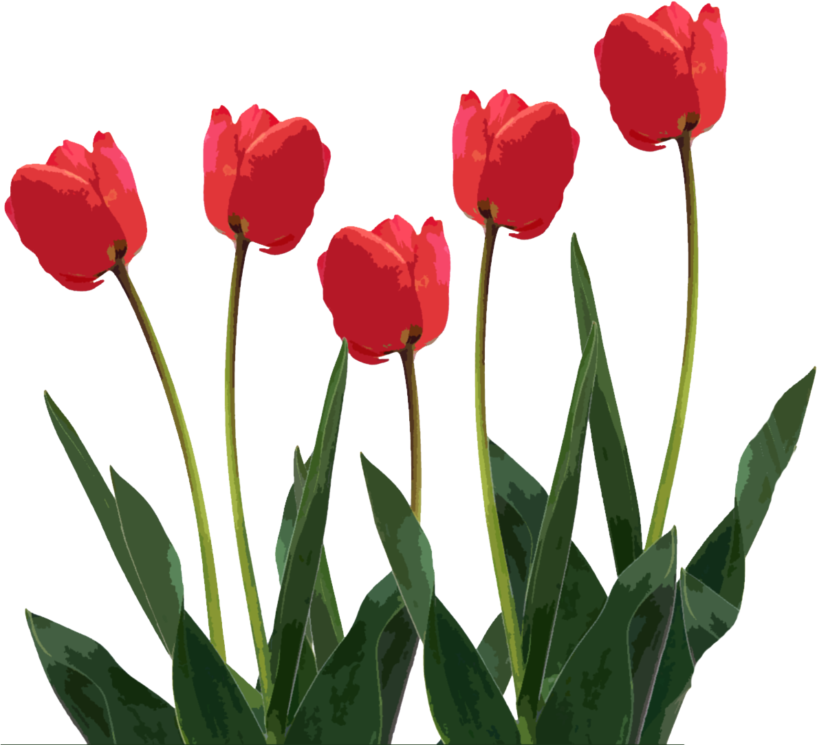 Download - Mothers Day Clipart Png (1200x1200)