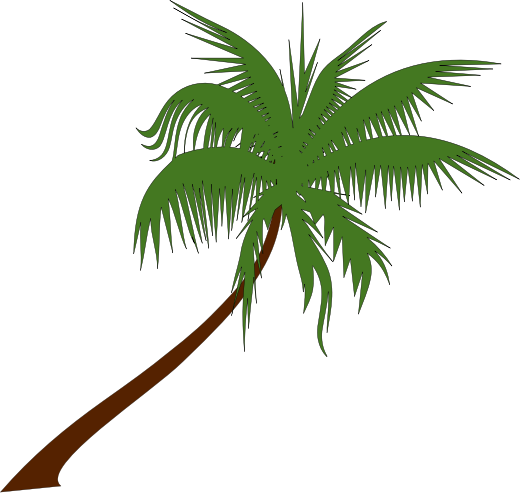 Palm Tree Clip Art Free Bbw Watermark Free - Coconut Trees Clip Art (520x493)